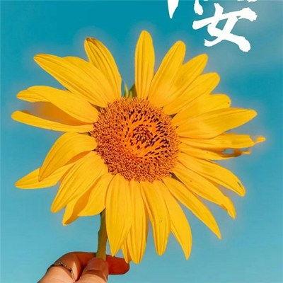 早安最新爆料图片高清版,高清揭秘最新爆料图片背后的惊人真相