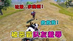 特种战集合最新爆料