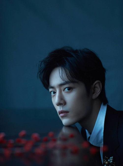 肖战圈内人爆料知乎小说,知乎小说背后的真实故事