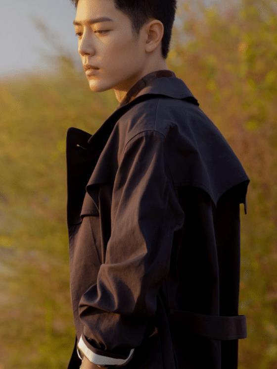 肖战圈内人爆料知乎小说,知乎小说背后的真实故事