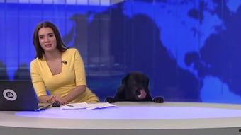 福州女主播爆料新闻事件,揭秘背后真相