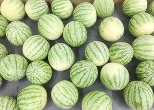 真实的吃瓜网站大全免费,免费畅享娱乐资讯盛宴