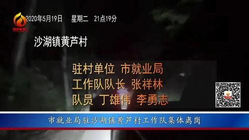 彩访广州爆料视频大全,揭秘城市生活百态