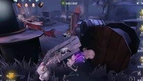 舞女故事视频爆料,揭秘幕后真相，揭开舞池中的秘密世界