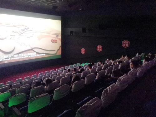 影视在线观看av