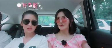 女儿爆料视频大全集下载,揭秘幕后真相与情感纠葛